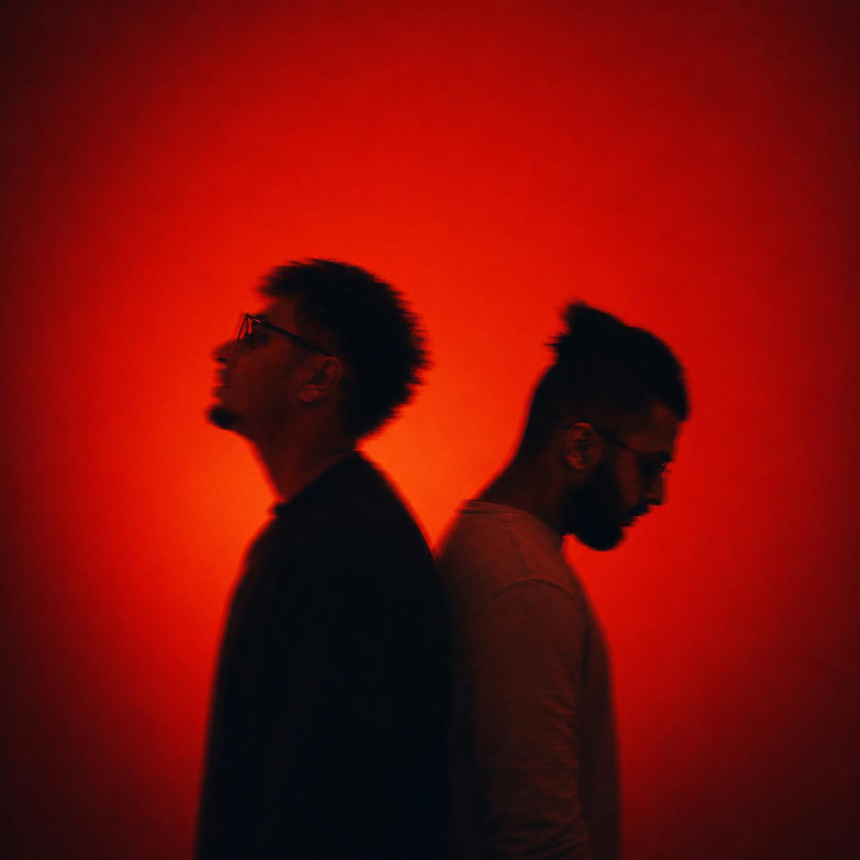SoundFlux red reference visual